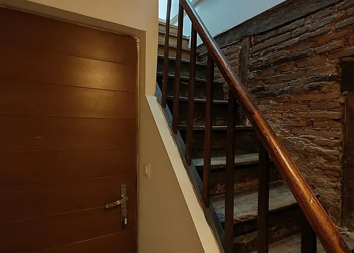 Les Rives Bleues - Atypique Et Climatise - 2 Salles D'eau - Wifi Апартаменты Альби